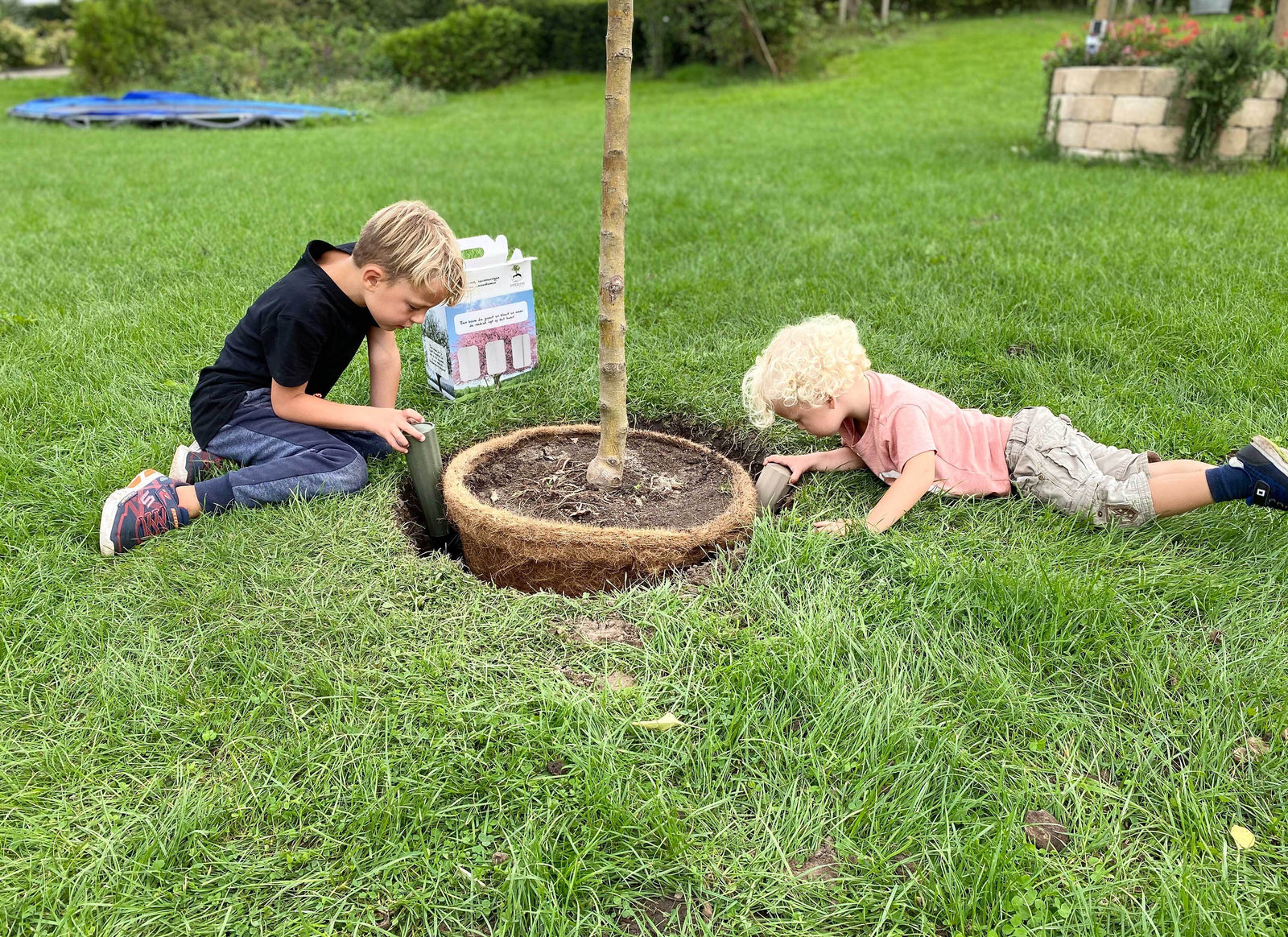Bij een nieuw te planten boom